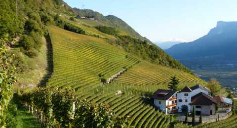 Herbst- und Winterurlaub in Burgstall bei Meran, Südtirol